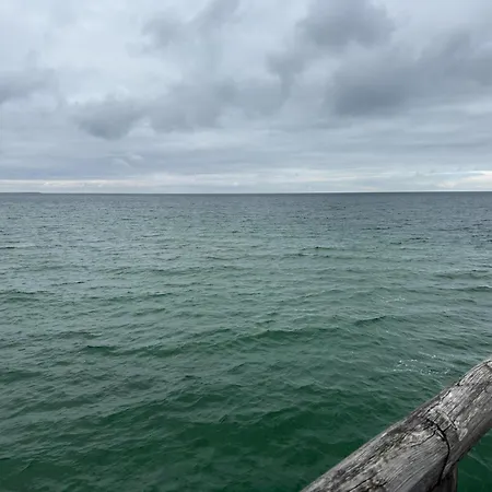 In Mit Terrasse Apartment Zingst