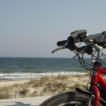 In Mit Terrasse Apartment Zingst